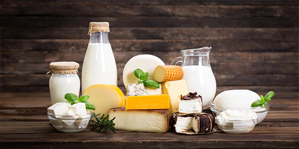Dairy Products / Milk Products a Complete Source of Nutrition